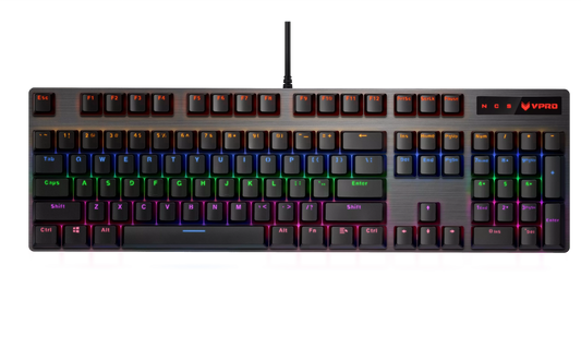 RAPOO V500PRO