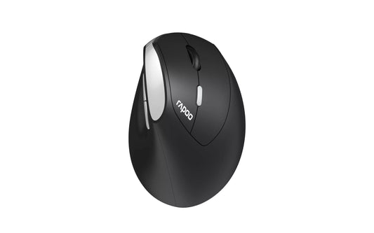 Rapoo EV250